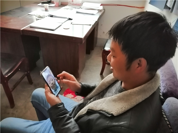 足球盘